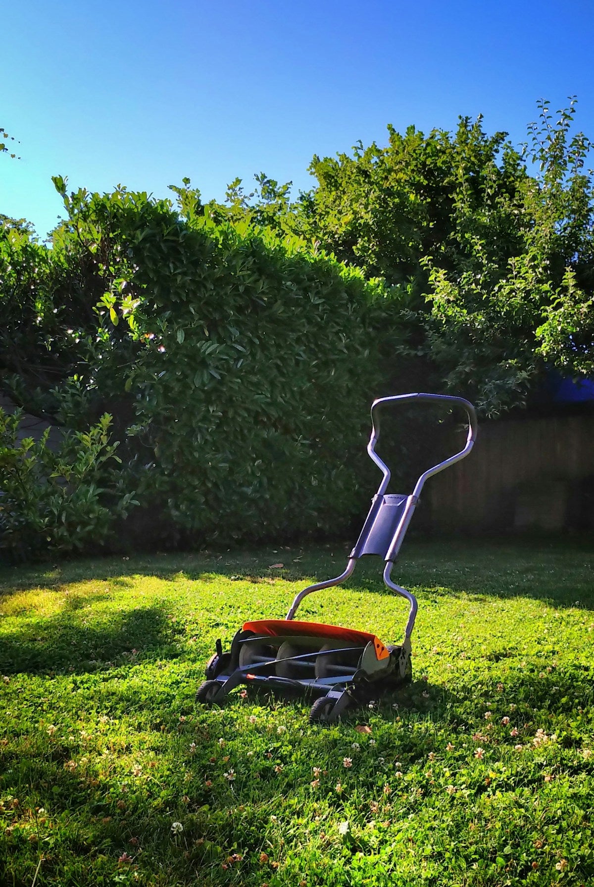 Precision Lawn Care Essentials