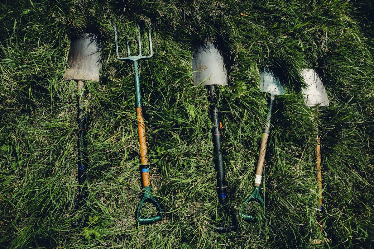 Precision Lawn Care Essentials